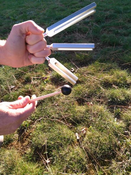 Techniques Chamaniques