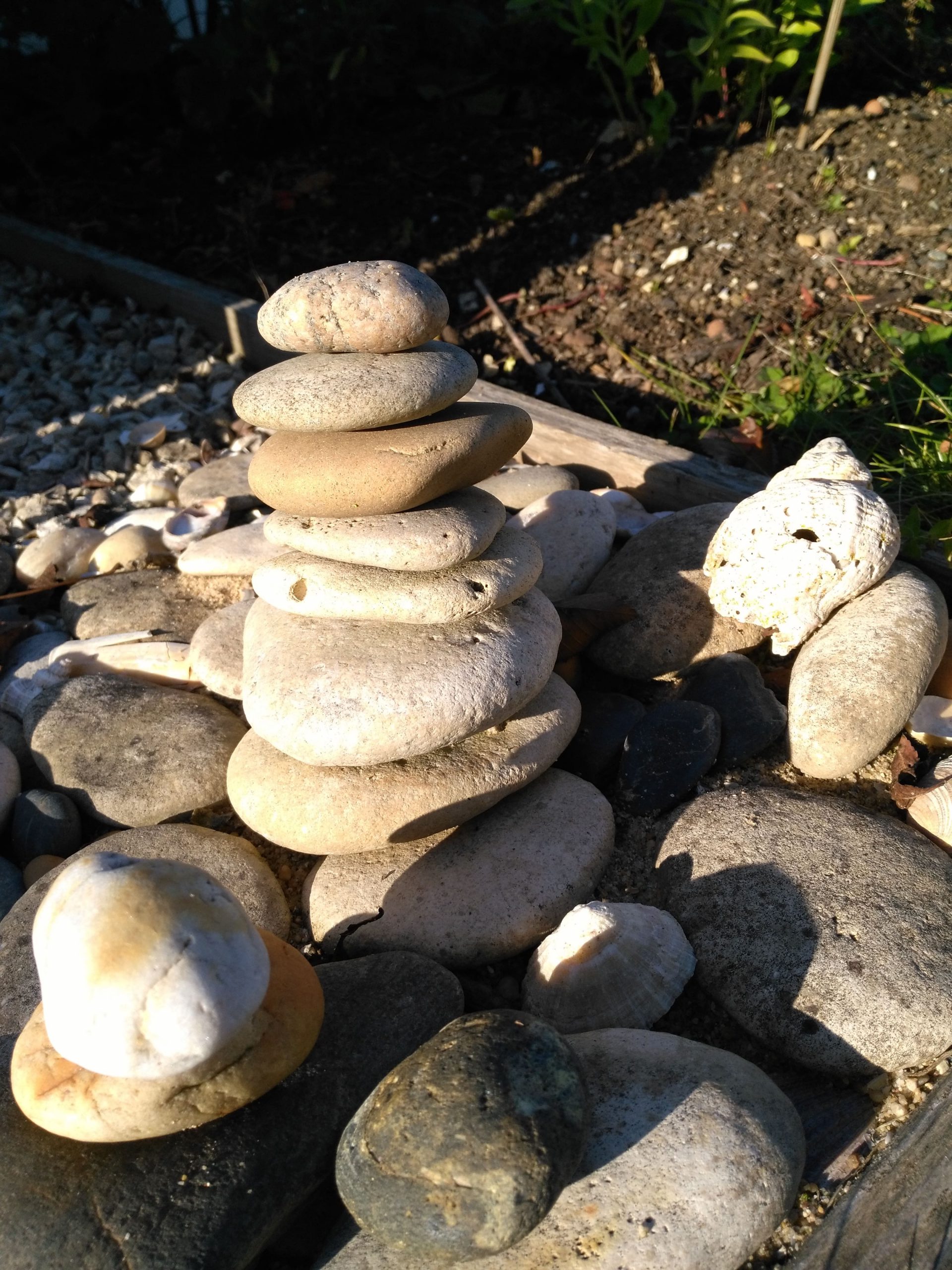 Méthodes Traditionnelles Chinoises